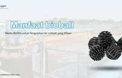 Manfaat bioball